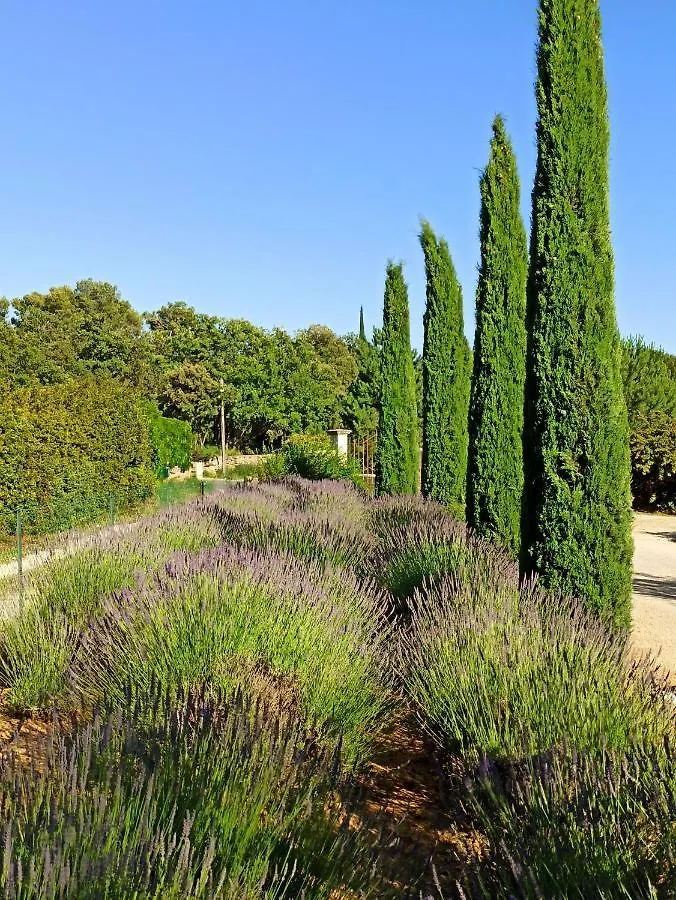 La Bastide De Cocagne Bed & Breakfast Rognes